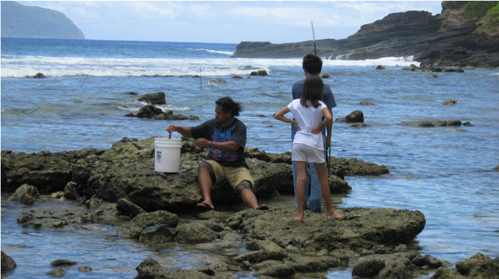 homeschooling experience marine science